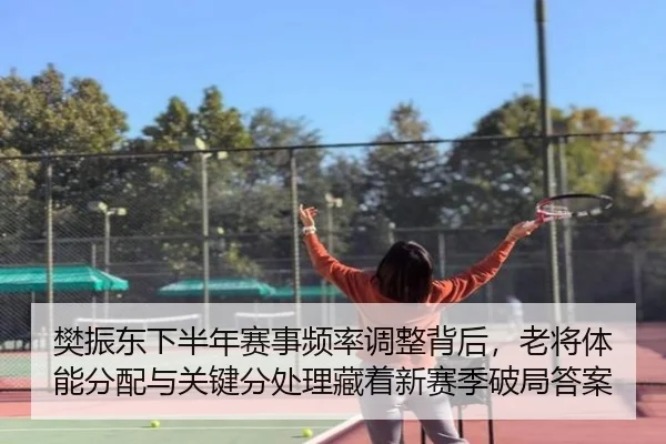 樊振东下半年赛事频率调整背后，老将体能分配与关键分处理藏着新赛季破局答案